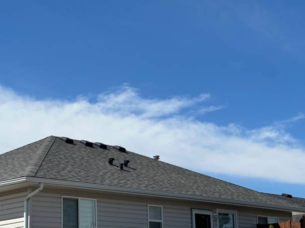 Best Roof Insulation Installation  in Dunkirk, IN